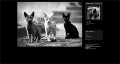 Desktop Screenshot of manofoto.com