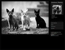 Tablet Screenshot of manofoto.com